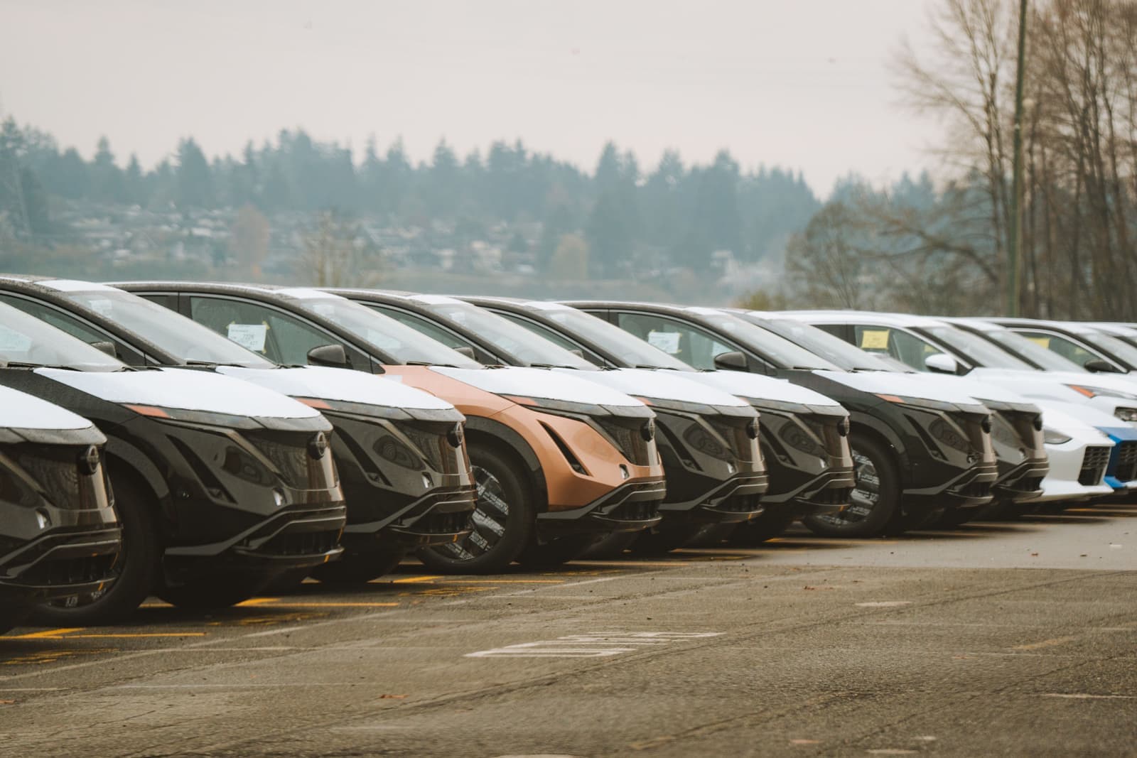 A row of electric cars parked side by side