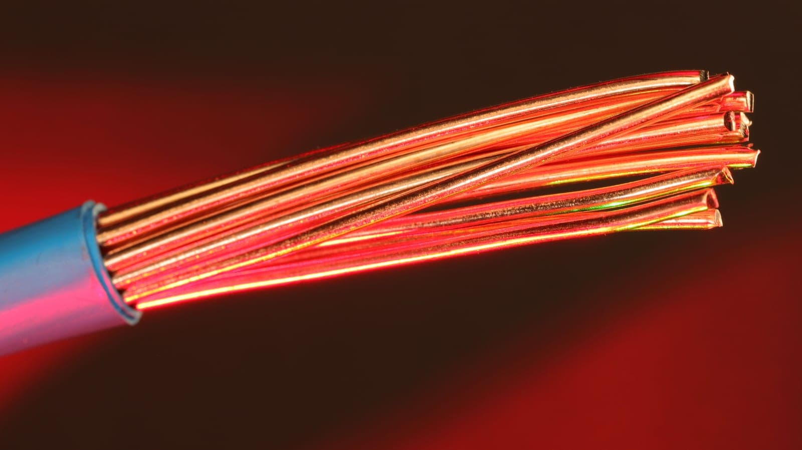 Strands of copper electrical wire