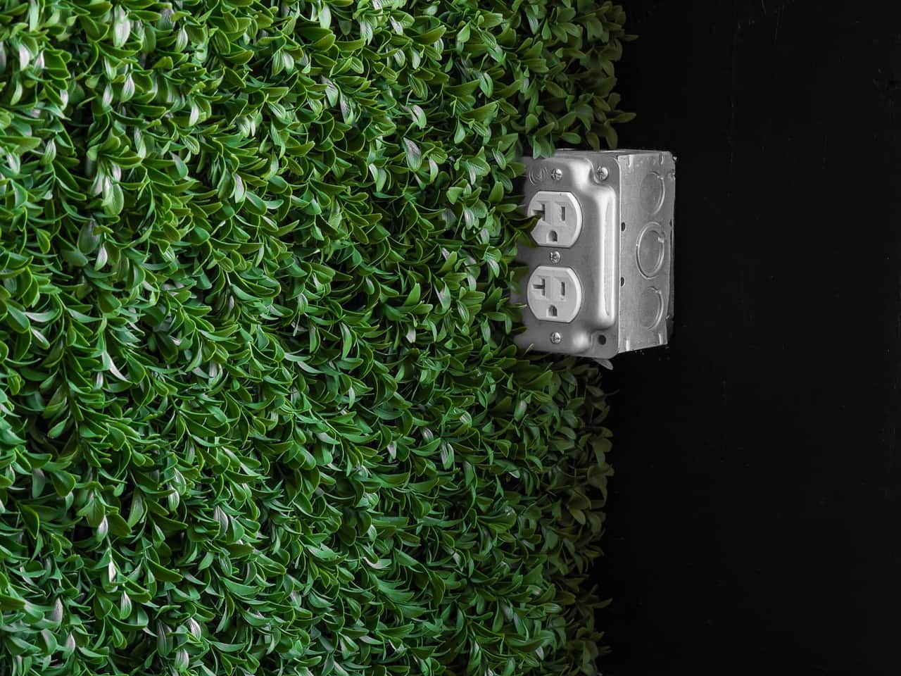 A US 120V duplex receptacle with T-shaped slots in a metal box, against a wall of green leaves